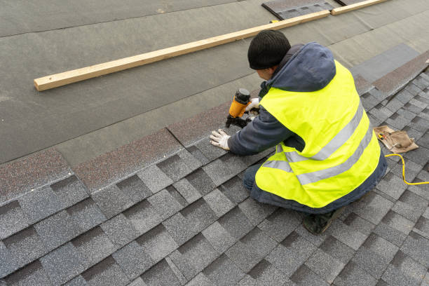 Best Metal Roofing Contractor  in Douglas, GA