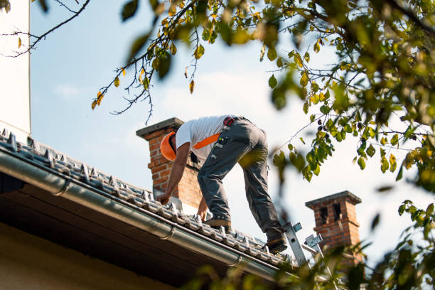 Best Flat Roof Repair Services  in Douglas, GA