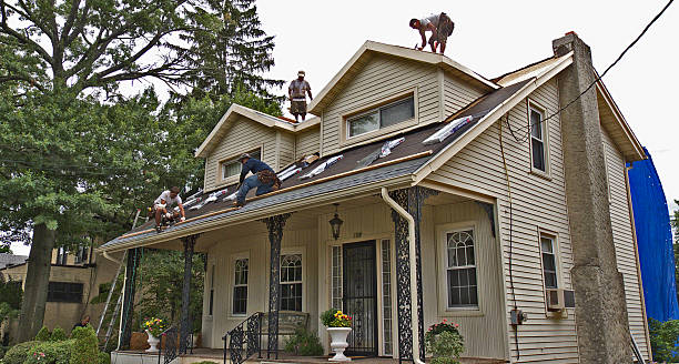 Best Local Roofing Companies  in Douglas, GA